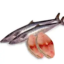 Frozen Ikan Tenggiri (Spanish Mackerel) 1.2–1.5kg | 10kg Carton